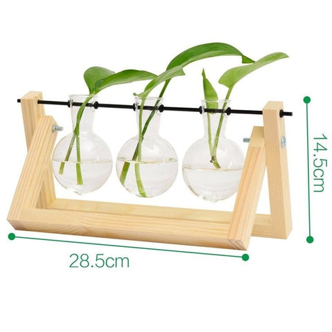 Hydroponic Vase Transparent Vase Glass Wooden Desktop Decoration Family Sturdy Beautiful Glass Bottle Vase