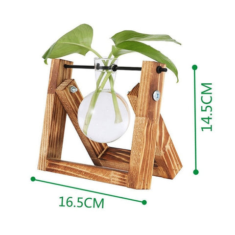 Hydroponic Vase Transparent Vase Glass Wooden Desktop Decoration Family Sturdy Beautiful Glass Bottle Vase