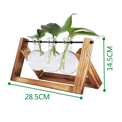 Hydroponic Vase Transparent Vase Glass Wooden Desktop Decoration Family Sturdy Beautiful Glass Bottle Vase