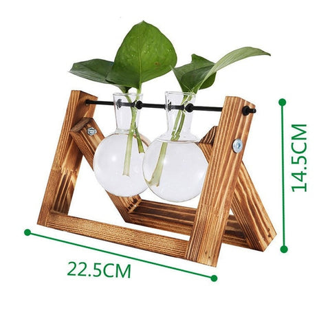 Hydroponic Vase Transparent Vase Glass Wooden Desktop Decoration Family Sturdy Beautiful Glass Bottle Vase