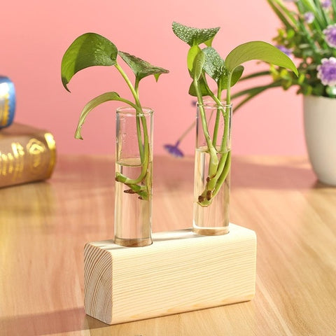 Glass Wood Vase Planter Terrarium Table Desktop Hydroponics Plant Bonsai Flower Pot Hanging Pots with Wooden Tray Home Decor
