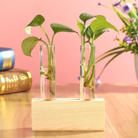 Glass and Wood Vase Planter Terrarium Table Desktop Hydroponics Plant Bonsai Flower Pot Hanging Pots with Wooden Tray Home Decor