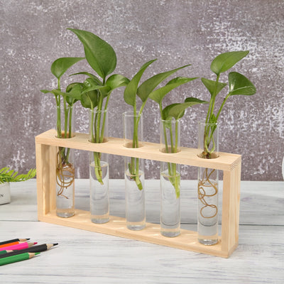 Transparent Glass Vase Wood Frame Iron Art Terrarium Bonsai Table Ornaments Glass and Wood Vase Planter Terrarium Table Desktop