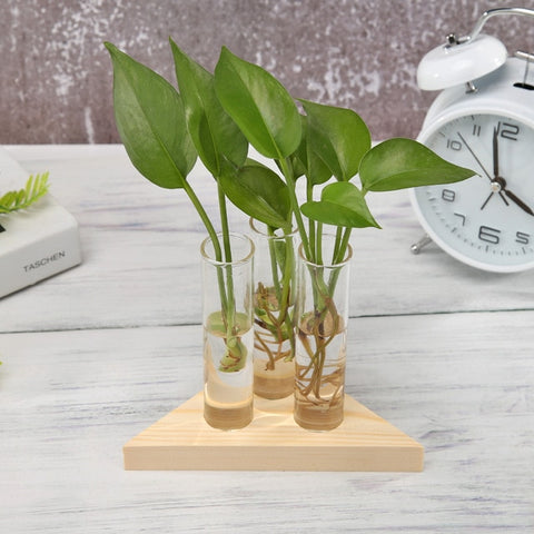 Transparent Glass Vase Wood Frame Iron Art Terrarium Bonsai Table Ornaments Glass and Wood Vase Planter Terrarium Table Desktop