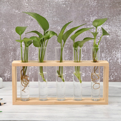 Transparent Glass Vase Wood Frame Iron Art Terrarium Bonsai Table Ornaments Glass and Wood Vase Planter Terrarium Table Desktop