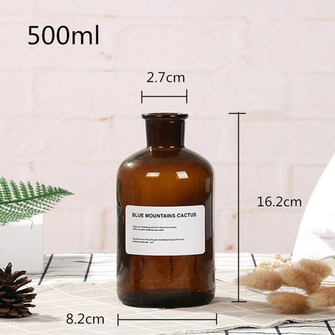 48h Glass Vase Flower Pot Flower Basket Flower Vase Decoration Home Nordic Decoration Dried Flower Hydroponic Small Brown Bottle