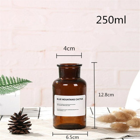 48h Glass Vase Flower Pot Flower Basket Flower Vase Decoration Home Nordic Decoration Dried Flower Hydroponic Small Brown Bottle