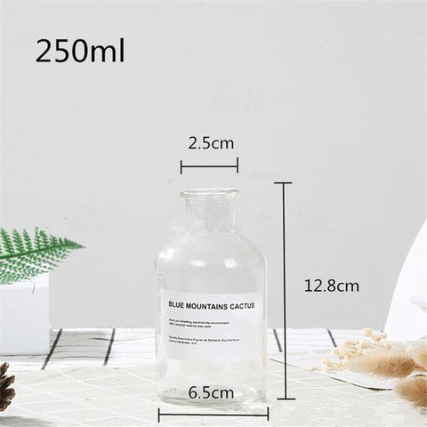 48h Glass Vase Flower Pot Flower Basket Flower Vase Decoration Home Nordic Decoration Dried Flower Hydroponic Small Brown Bottle