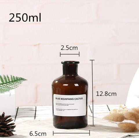48h Glass Vase Flower Pot Flower Basket Flower Vase Decoration Home Nordic Decoration Dried Flower Hydroponic Small Brown Bottle