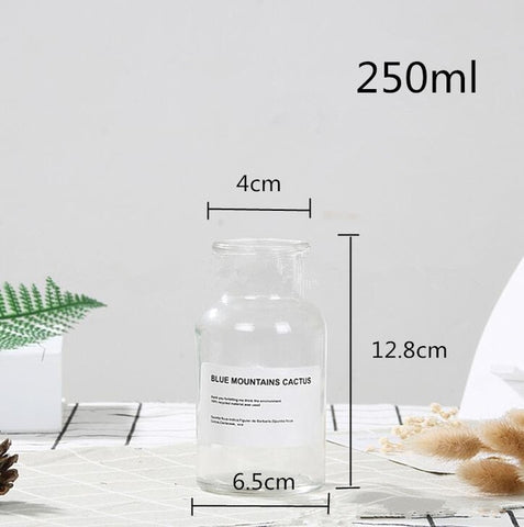 48h Glass Vase Flower Pot Flower Basket Flower Vase Decoration Home Nordic Decoration Dried Flower Hydroponic Small Brown Bottle