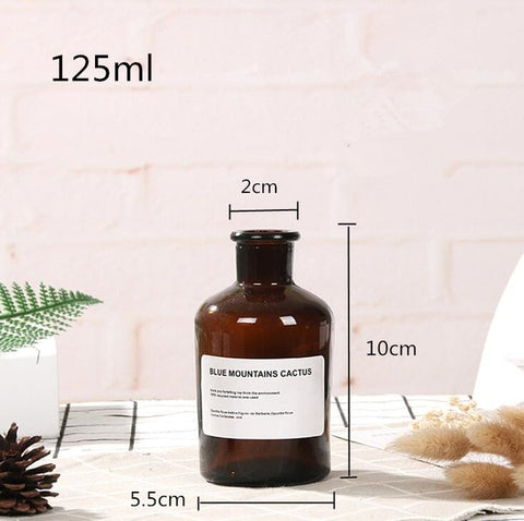 48h Glass Vase Flower Pot Flower Basket Flower Vase Decoration Home Nordic Decoration Dried Flower Hydroponic Small Brown Bottle