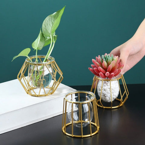 Nordic Golden Glass Vase Terrarium Geometric Iron Line Vase Hydroponic Plant Flower Vase Metal Plant Holder Home Decor Modern