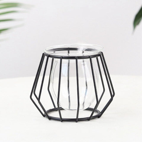 Nordic Golden Glass Vase Terrarium Geometric Iron Line Vase Hydroponic Plant Flower Vase Metal Plant Holder Home Decor Modern