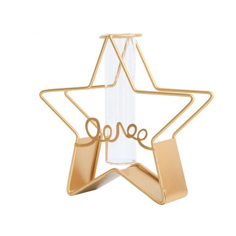 INS Nordic Wrought Iron Vase Desktop Glass Planter Home Decor Made Of High-quality Iron