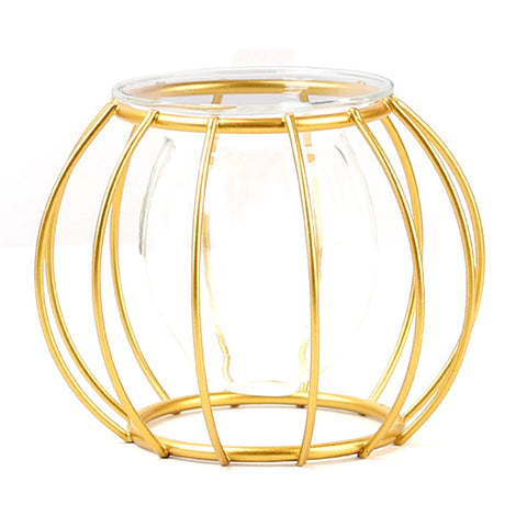 Iron Line Flower Vase Garden Decor Nordic Geometric Metal Frame For Hydroponic Plant