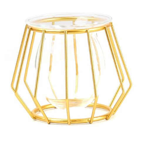 Iron Line Flower Vase Garden Decor Nordic Geometric Metal Frame For Hydroponic Plant