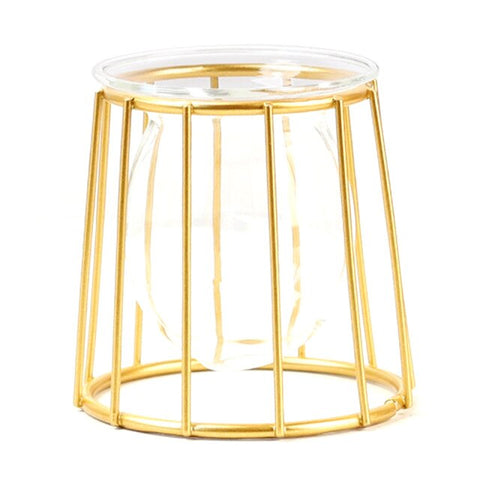 Iron Line Flower Vase Garden Decor Nordic Geometric Metal Frame For Hydroponic Plant